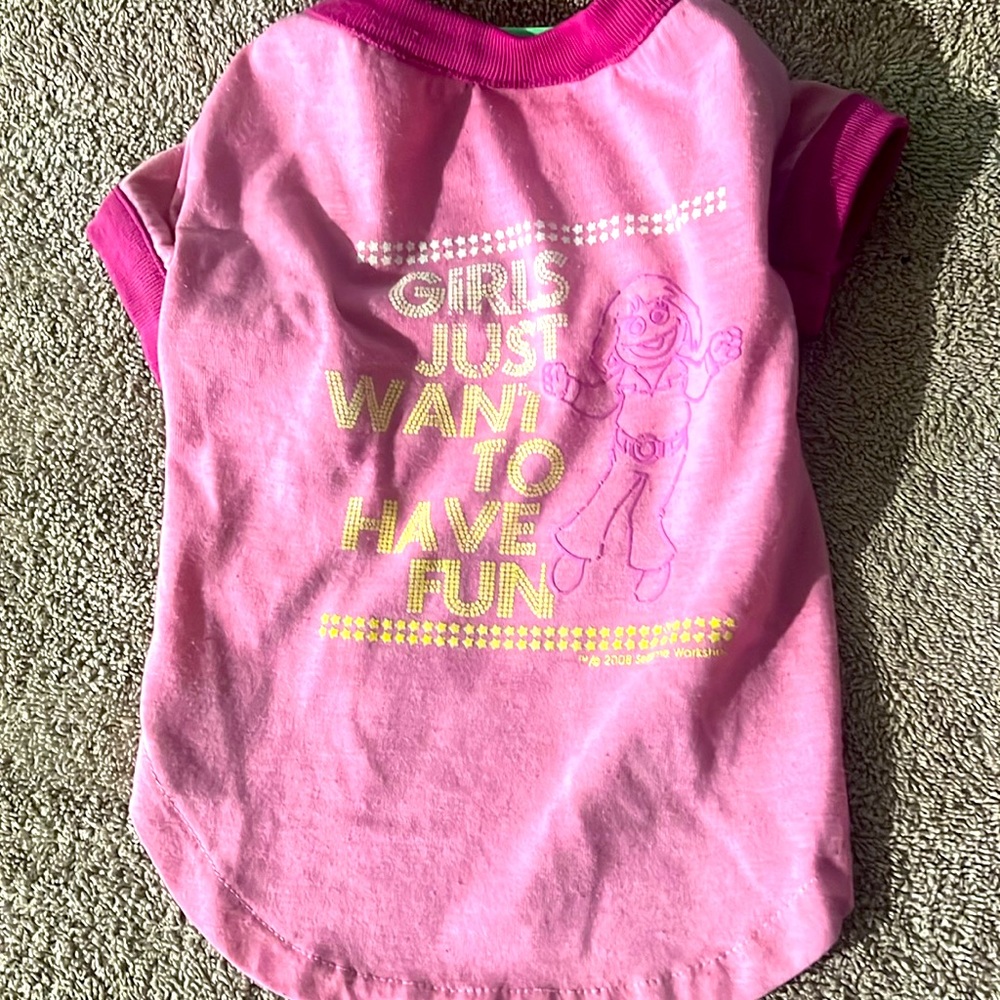 LAST CHANCE!!   SESAME STREET GIRLS JUST WANNA HAVE FUN Outfit